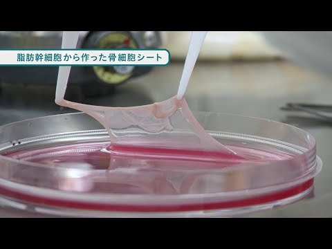 『ココカラ』Research31【世界初の骨再生医療に挑む！】/金沢大学研究紹介動画