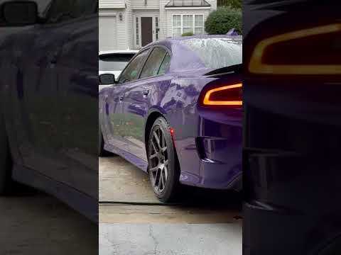 222/230 Comp Cam HRT stage 2, 2016 Charger R/T Scat, factory mufflers and resonators