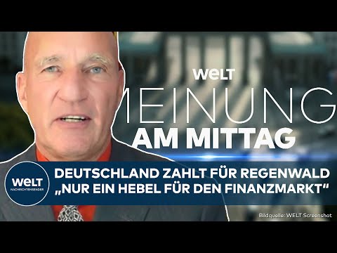 MEINE MEINUNG: Deutschland zahlt eine Milliarde für Regenwald-Fonds - BRICS-Bank profitiert