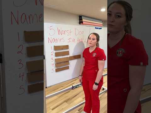 The WORST dog names we’ve ever heard #shorts #vetmed #vettech #dogs