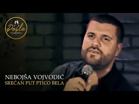 Nebojsa Vojvodic - Srecan put ptico bela - (Posle Fajronta | Cross 2020)
