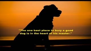Loss of a pet All pets go to heaven Rainbow Bridge A video to help with dealing with the loss