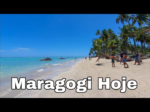 Maragogi Alagoas 16 De Janeiro De 2026