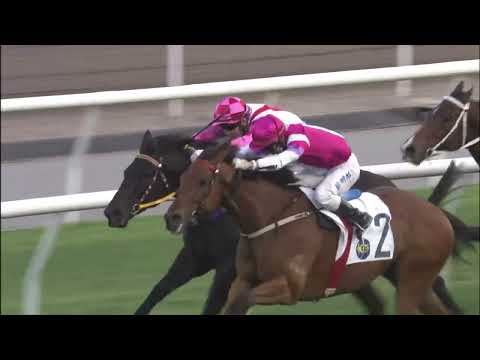 3/4/2022 (556) Rock Ya Heart - Matthew Chadwick