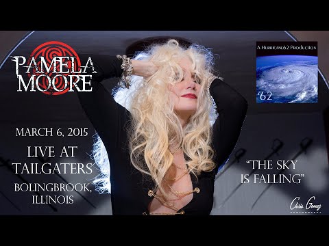 Pamela Moore - "The Sky Is Falling" - Bolingbrook, IL - 3/6/15