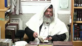 החיד''א-תניא יומי ובגובה העיניים (הילולת ה"בת עין")-י''ב כסלו תשפ''ו