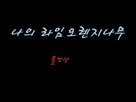 [독서] 나의라임오렌지나무 풀영상