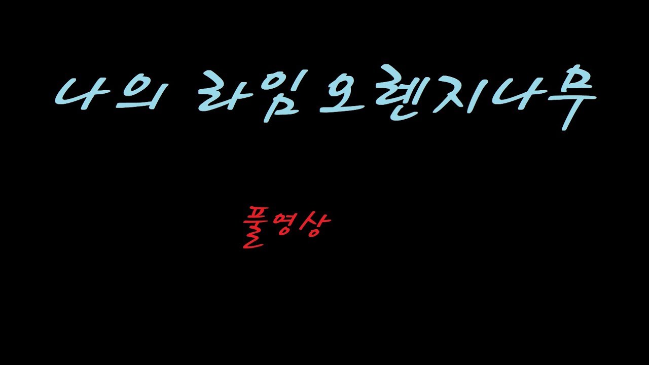 [독서] 나의라임오렌지나무 풀영상