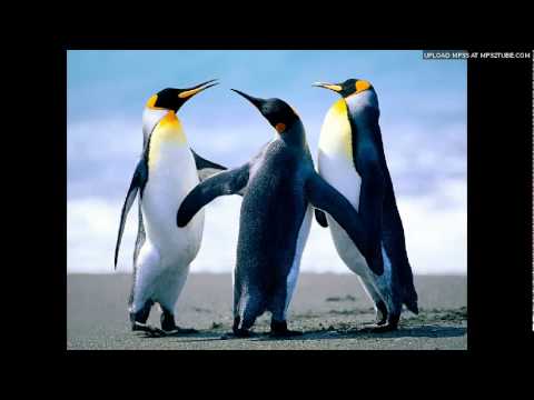 Slitz - Feliz Navidad