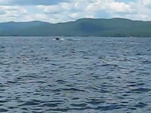 1982 Sea Ray SRV 207 for sale