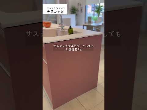 原廠影音-烤漆塗裝門板