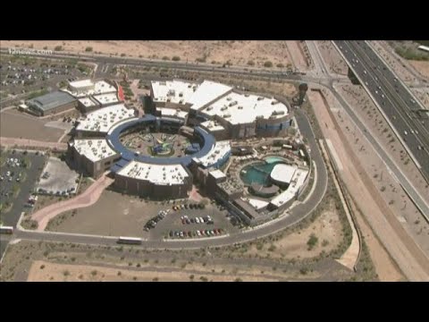 BREAKING: Dolphinaris Arizona closing temporarily after 4th dolphin dies