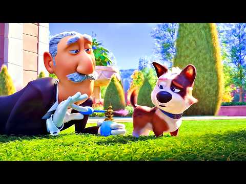 Este PERRO MILLONARIO fue EXPULSADO de CASA y necesita ENFRENTAR los DESAFÍOS de la CALLE