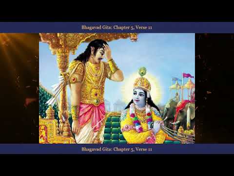 Kapitulli 5 _ Vargu 11