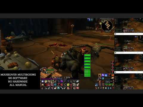 World of Warcraft Classic FRESH | Multiboxing 5 Hunters | Scarlet Monastery-Armory
