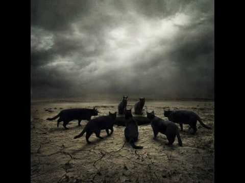Arousing Thunder