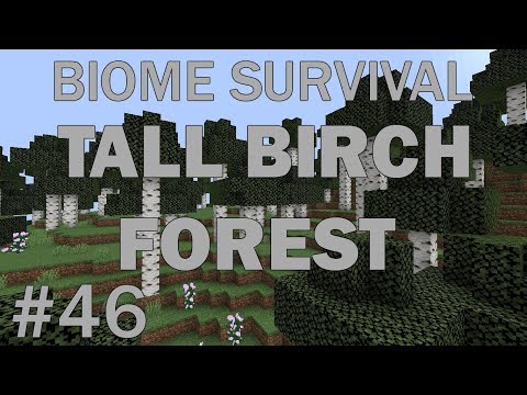 DarkBlade2001 - Minecraft Biome Survival #46: Tall Birch Forest