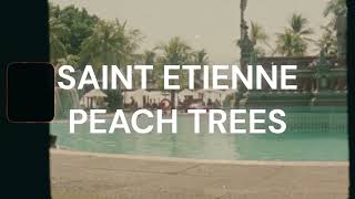 Saint Etienne - Peach Trees
