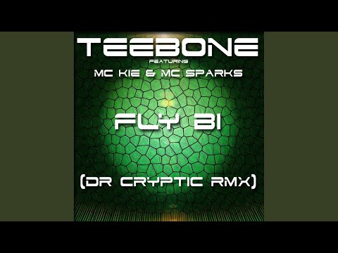Fly Bi (Dr Cryptic Remix)