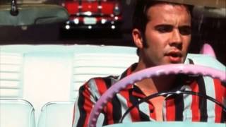 Se ti investo mi sposi? - Trailer
