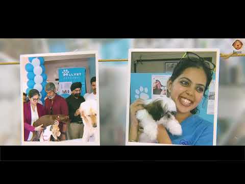 Dogsee Salutes The Heroes of the Vet Industry - Dr. Jasleen Kaur