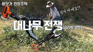 전원생활 최대의 적! 대나무! 오늘 다~ 죽었어!! 싸우자! 대나무 절대 일부러 심지 마세요~ 금방 퍼집니다…