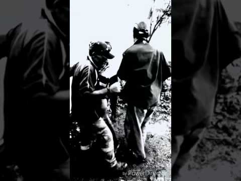 McDonald Taila Fans.  Png Dance