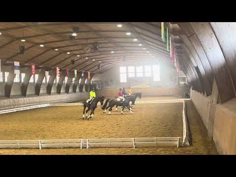 Neue ZKV Quadrille ab 2024