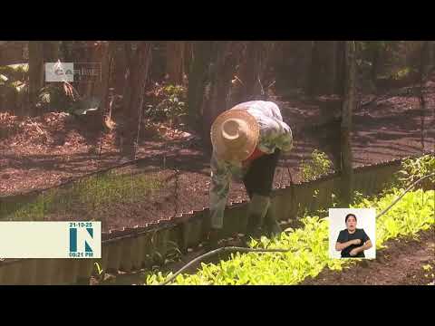 Guantánamo apuesta por la sostenibilidad agrícola
