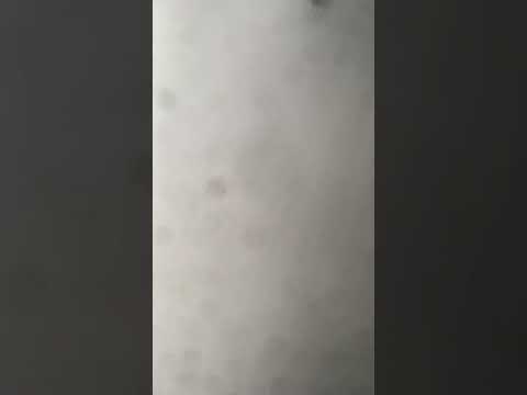 Hogarth Hughes Pan (Hitomi Style) part 9 - Meet the Lostboys, Jeffrey, Marco, Luke Ev Tommy and Link