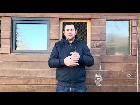 Gołębie z Linii Hurrican 51🕊️ - Bracia Makoś Czołowe wyniki w Polsce