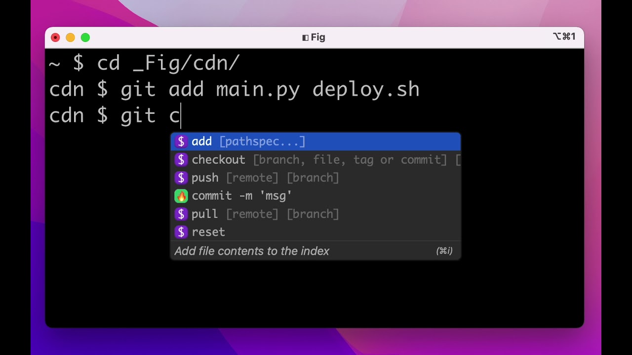 Fig Autocomplete Demo