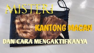 Download lagu MISTERI KANTONG MACAN DAN CARA MENGAKTIFKANYA mp3