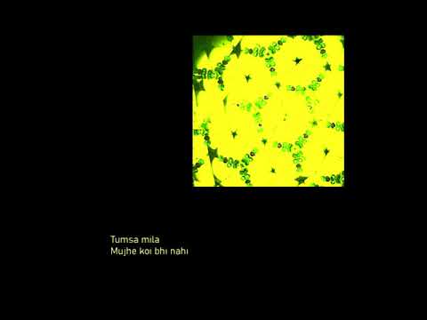 TEESRI DUNIYA and Nanku