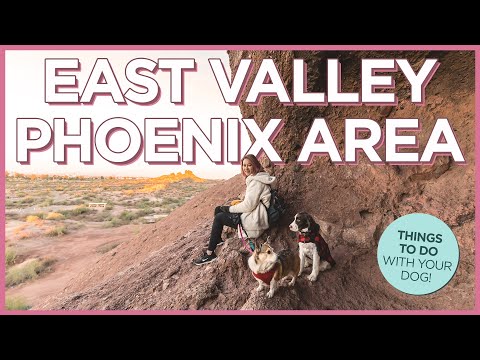 7 Dog-Friendly Things To Do in the Greater Phoenix Area