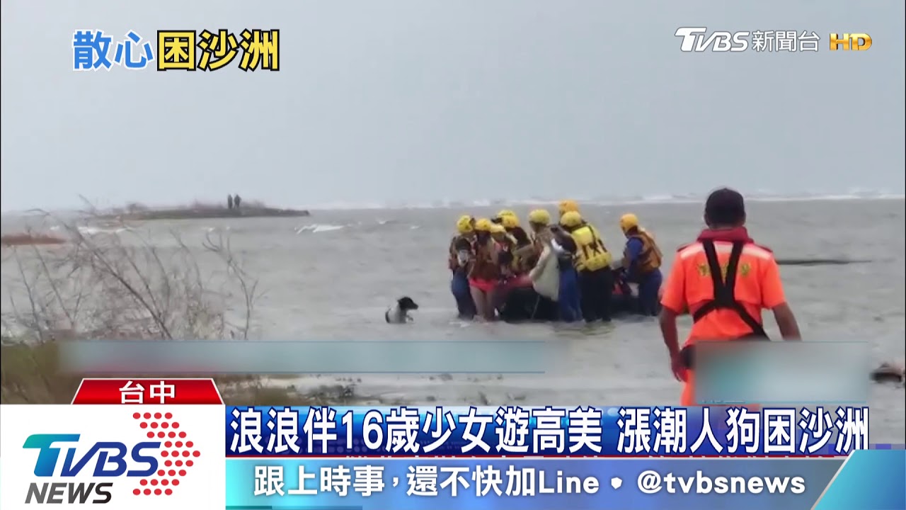 浪浪伴16歲少女遊高美　漲潮人狗困沙洲