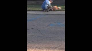 Chrysalis the Chow Chow doesn't want to leave D'Arbonne State Park | Keith and Shannon French