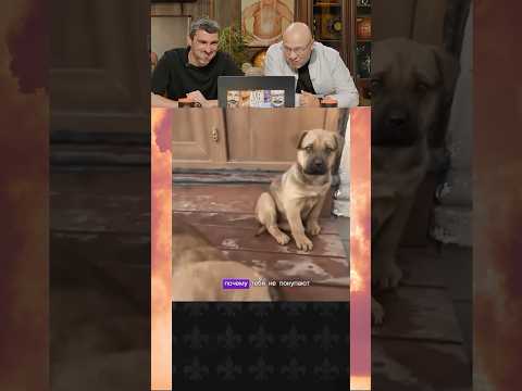 СМЕХ С ВОДОЙ😂 | ПОПРОБУЙ НЕ ЗАСМЕЯТЬСЯ 58