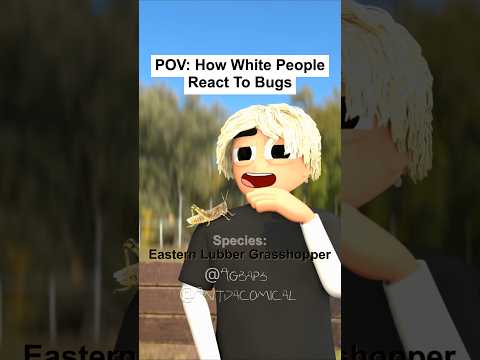 POV: How White And Black People React To Bugs