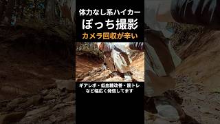 【撮影の裏側】体力ないのにカメラ回収で山道を往復するソロハイカー