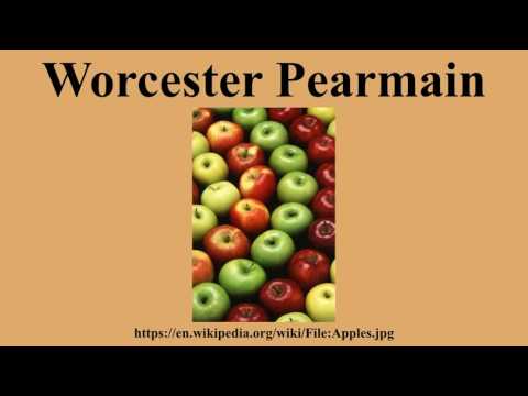 Worcester Pearmain