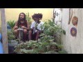 Sessão Quintal - Augustus Pablo - Drums To The King (Improviso)