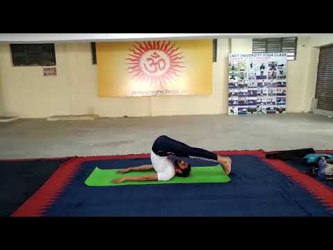 Halasana | Yoga | Hathayoga | plugs pose |  #youtube #hathayogaspecialistdrmohit