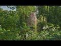 De Schatkist van Gelderland 29 juni 2019 - Een romantische ruïne in Brakel
