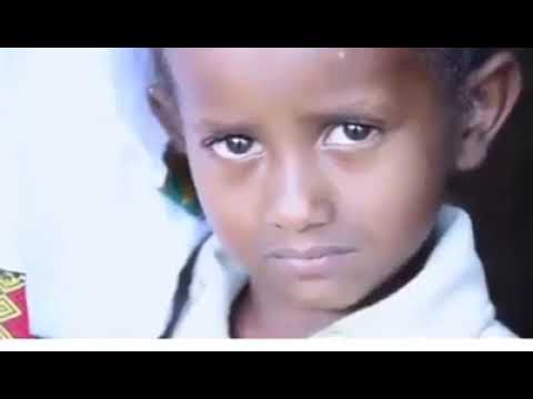 New Oromo Music 2021 Hawwisoo WBO Diree Qabsoo irraa