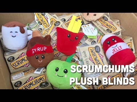 Scrumchums Plush Blind Box Toys by Ganz | Toy Tiny Video