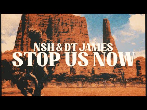 NSH & DT James - Stop Us Now (Lyric Video)
