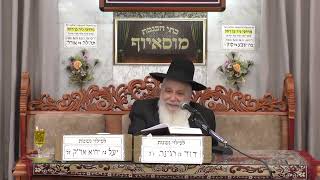 הרב ישראל לוגאסי • פרשת נח (בית הכנסת מוסאיוף) - התמונה מוצגת ישירות מתוך אתר האינטרנט יוטיוב. זכויות היוצרים בתמונה שייכות ליוצרה. קישור קרדיט למקור התוכן נמצא בתוך דף הסרטון