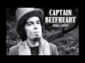 Captain Beefheart - Tupelo (live avalon 66)