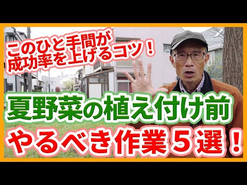 菜園に日陰を作るにはどうすればいいですか？この夏、野菜を守るための 5 つ以上の熱波対策のヒント  庭園